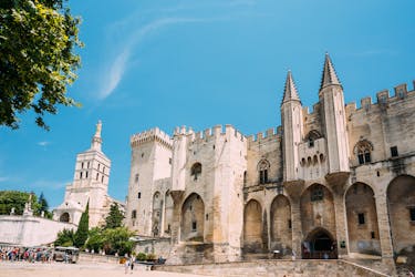Tour di un’intera giornata ad Avignone, Châteauneuf-du-Pape e Les Baux de Provence